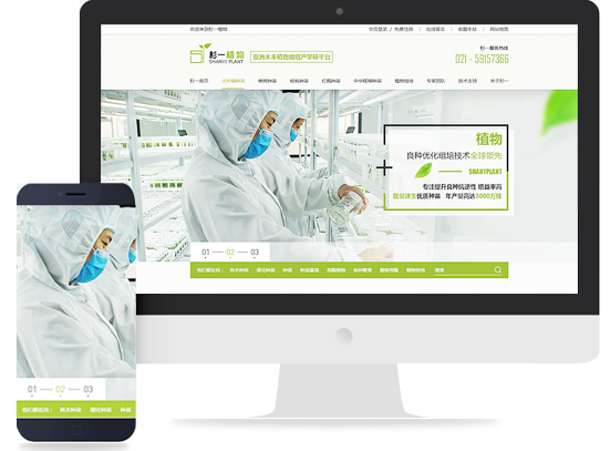 網(wǎng)站建設(shè) 打造高效、美觀的在線平臺(tái)