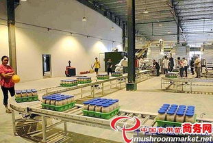 河北光明食品集團(tuán)臨西縣食用菌工廠化建設(shè)項(xiàng)目圓滿竣工，助力現(xiàn)代農(nóng)業(yè)發(fā)展